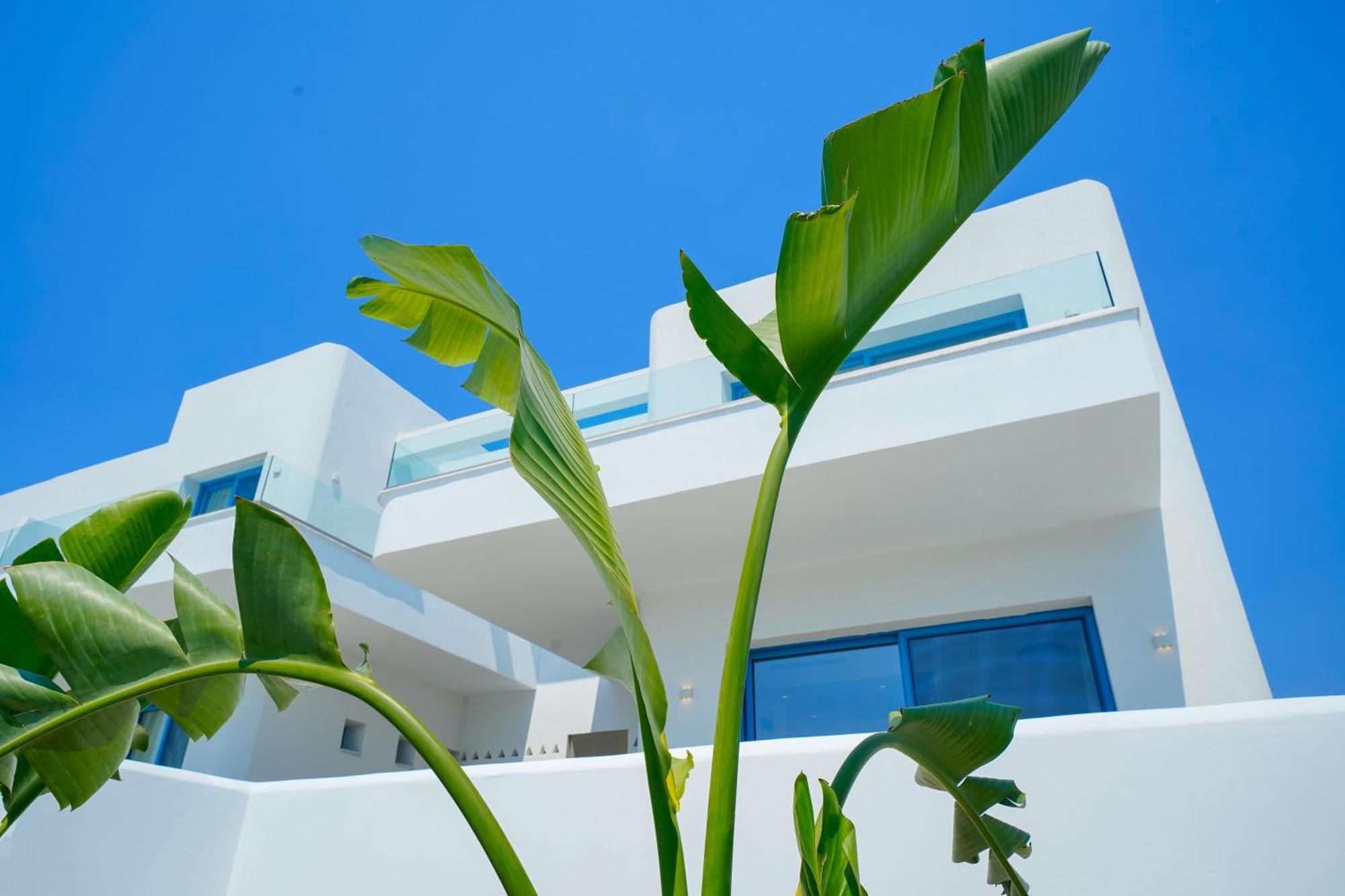Narciso Thassos Luxury Suites Ormos Prinou  외부 사진